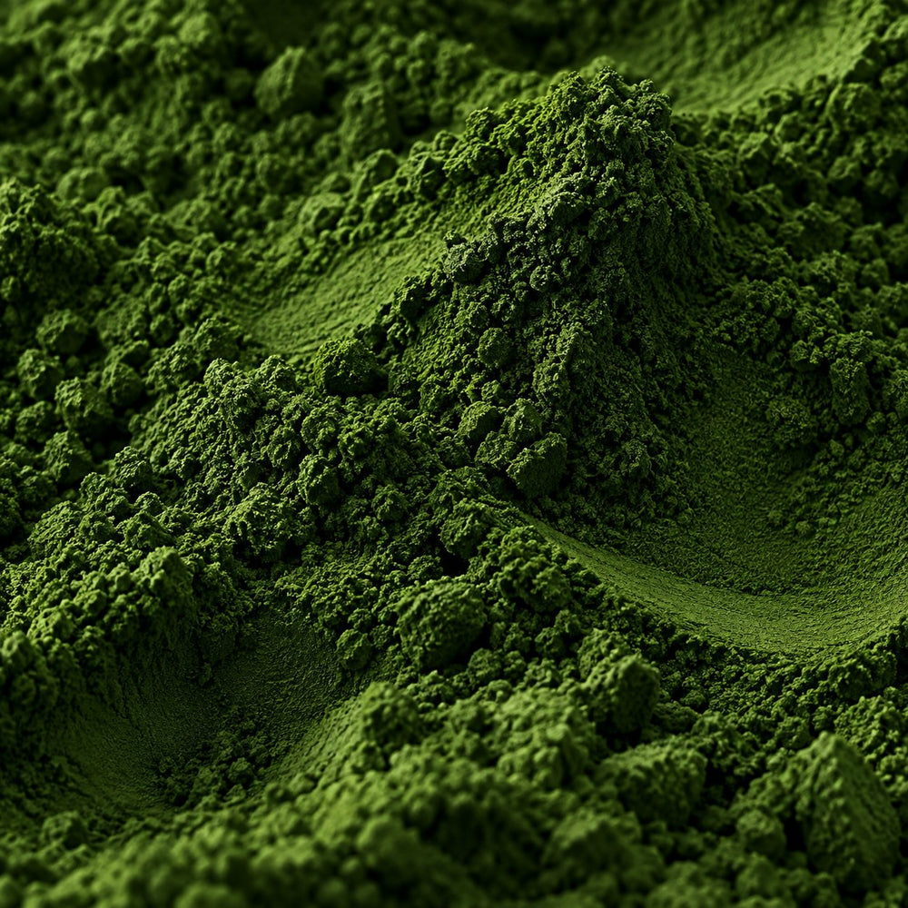Poudre de matcha