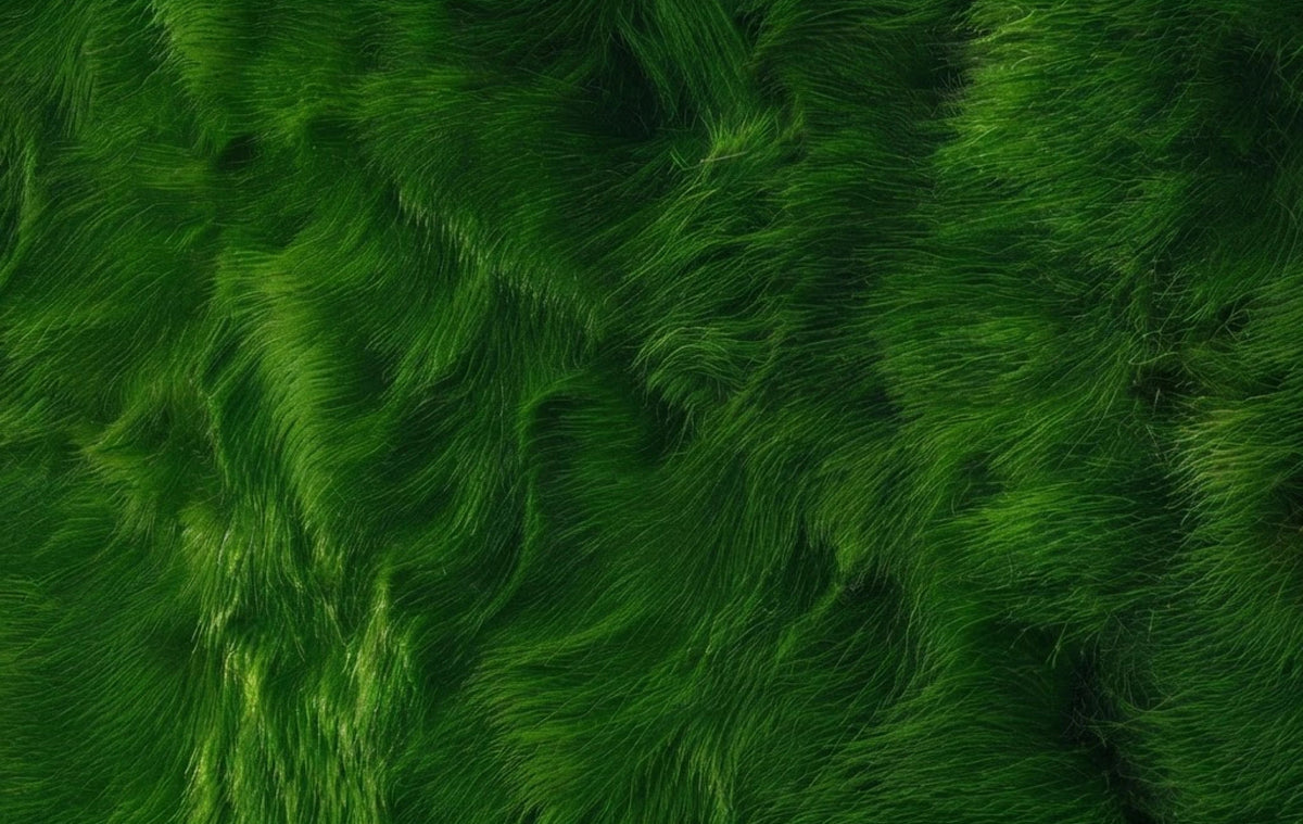 home-hero-matcha.jpg