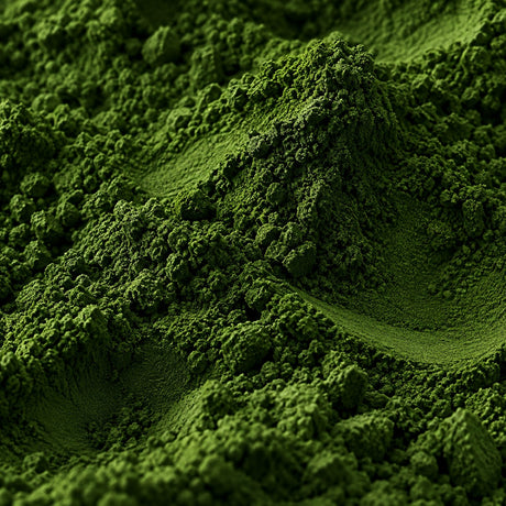 Matcha cérémonial — Aromavie